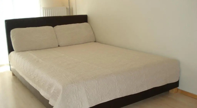 Riga Apartment Brivibas