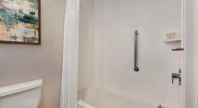 Номер Premium Hilton Garden Inn Houston Energy Corridor