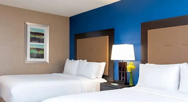 Одноместный номер Executive Holiday Inn Chicago - Elk Grove