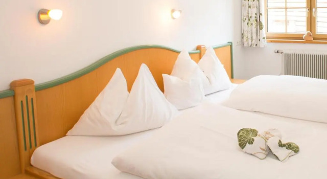 Двухместный номер Standard HOFERHOF Schladming -Dachstein
