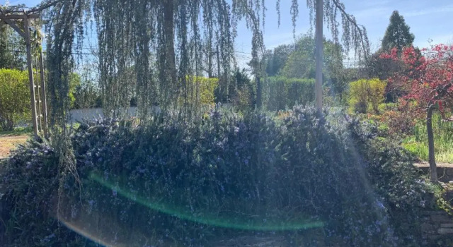 Коттедж La Grenouillere (Adults Only)