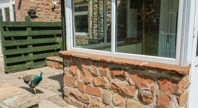Коттедж Mousehole Cottage