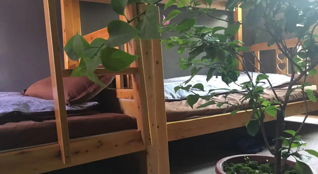 Chengdu Tribe Youth Hostel