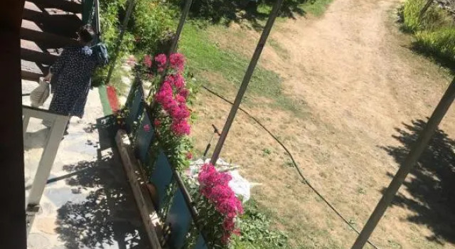 Одноместный номер Standard с балконом Guesthouse Tanano/Dodo