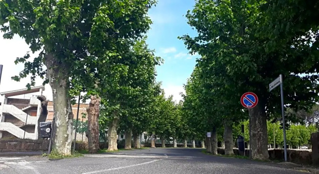 Velia's Home, Varaa Hotelli Castel SantʼElia Tuscia
