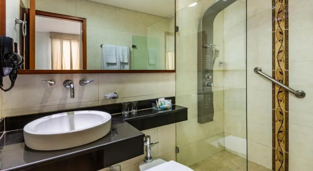 Двухместный номер Standard Hotel Andes Plaza