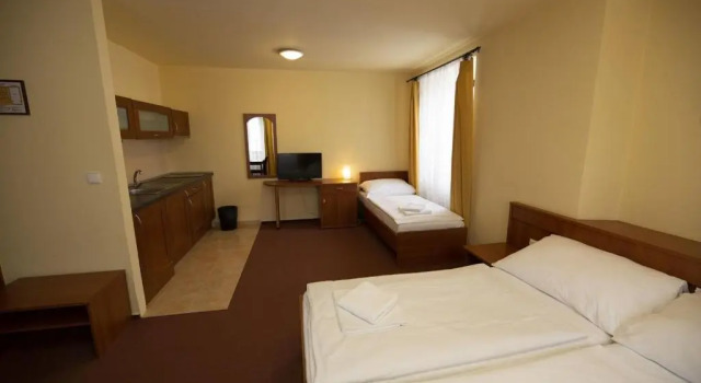 Трёхместный номер Standard Hotel Zlatá Hvězda