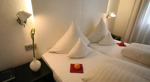 Двухместный номер Superior Hotel am Main