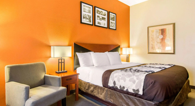 Двухместный номер Standard Sleep Inn & Suites Athens South