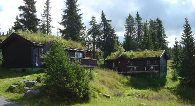 Коттедж Nordseter Fjellpark, Hyttegrend