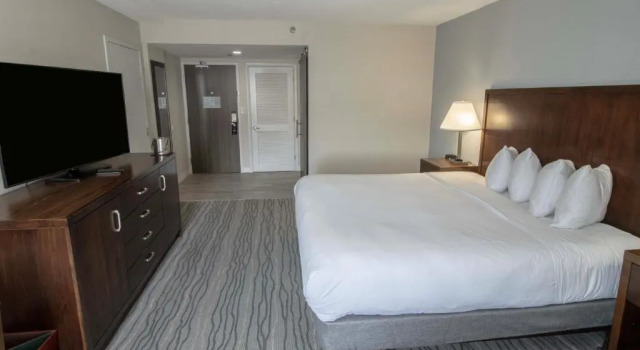 Standard chambre DoubleTree by Hilton Norfolk Airport
