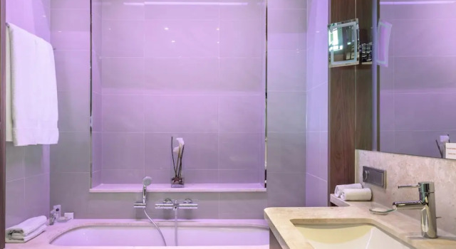 Двухместный люкс Crowne Plaza Crowne Plaza Frankfurt Congress Hotel by IHG