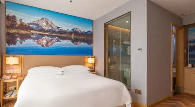 Люкс Deluxe c 1 комнатой Vienna Classic Hotel (Xinxing Yanjiang South Road)