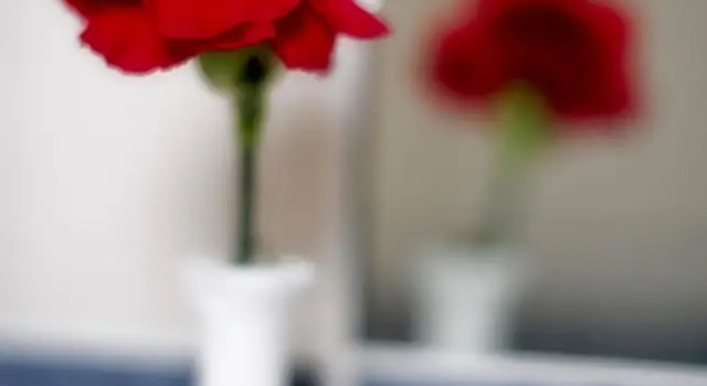 Номер Classic The Old Government House Hotel & Spa