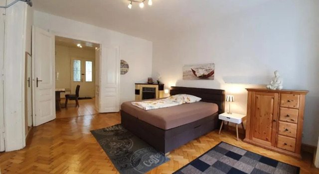 Gorgeous Viennese Apartment 10 min to City Center