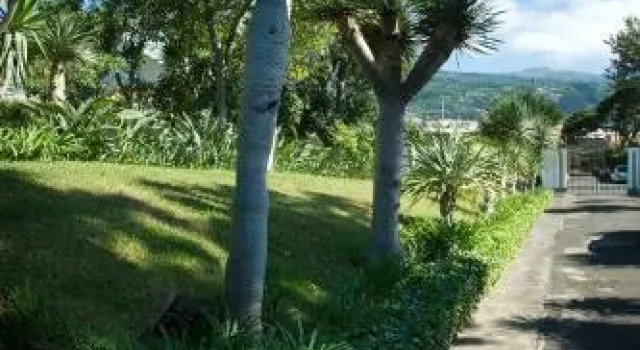 Villa Finca El Drago, Buchen Sie Villa La Orotava Teneriffa