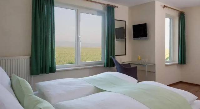 Одноместный номер Standard Eurostrand Resort Moseltal