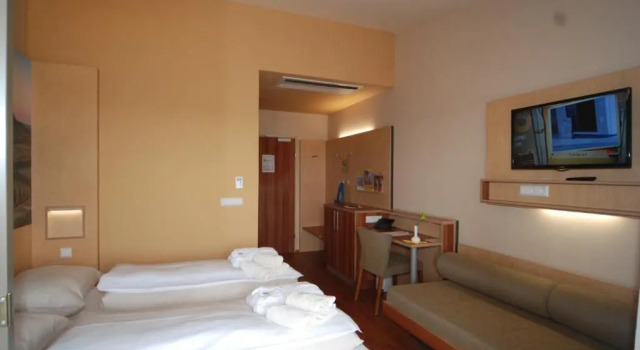 Одноместный номер Standard Vulkán Wellness Hotel & Camping