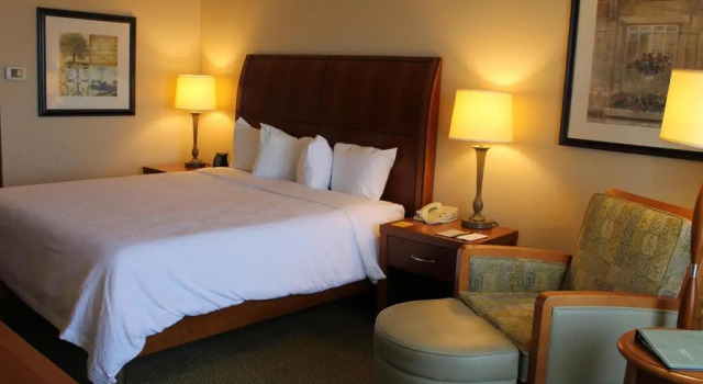 Номер Standard Hilton Garden Inn Addison