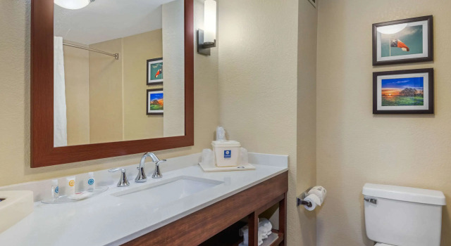 Dwuosobowy suite Holiday Inn Express Big Spring