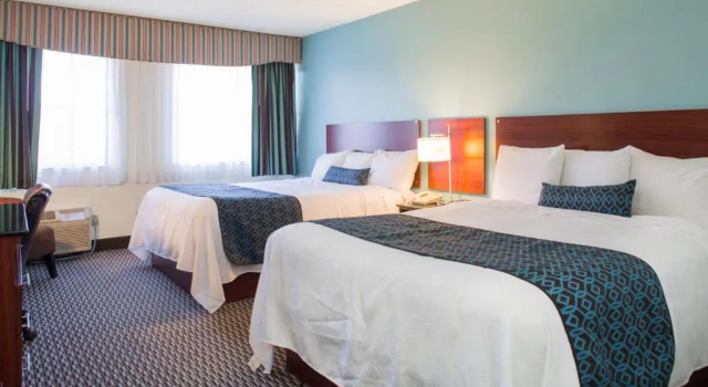 Четырёхместный номер Standard Hotel Mira Vista