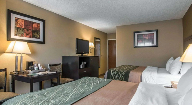 Четырёхместный номер Standard Comfort Inn Saugerties