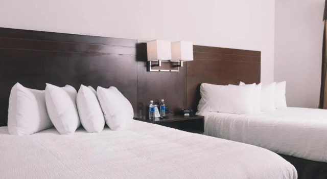 Четырёхместный номер Standard Service Plus Inn and Suites - Grande Prairie