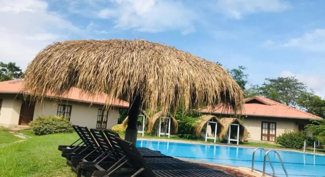 Номер Standard Hibiscus Garden Hotel