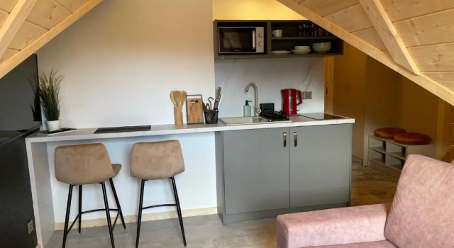 Студия Willa Królewska - Wellness SPA - widokowe Pokoje i Apartamenty