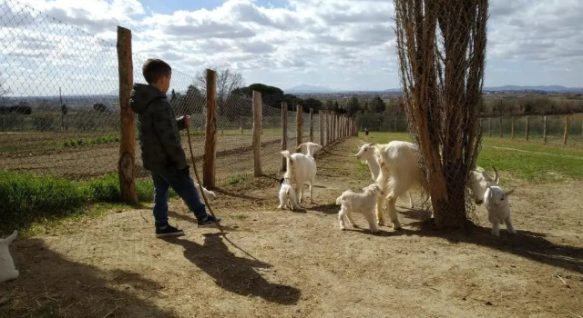 Апартаменты с 2 комнатами Agriturismo Fattoria Podere Peciano