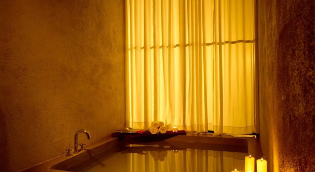 Номер Standard Rainforest Resort