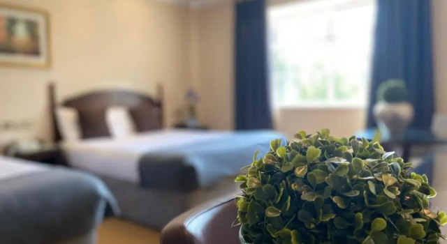 Двухместный номер Standard Twin Trees Hotel & Brusna Falls Leisure