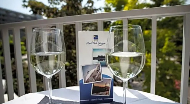 Двухместный номер Standard Hotel Park Spiaggia