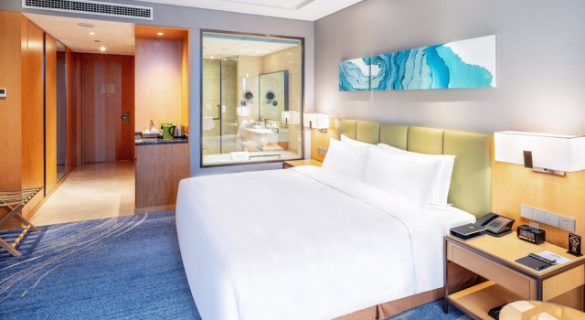 Двухместный номер Standard с видом на реку Holiday Inn Neijiang Riverside by IHG
