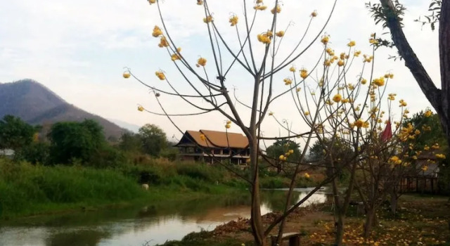 Номер Standard Giant House Riverside