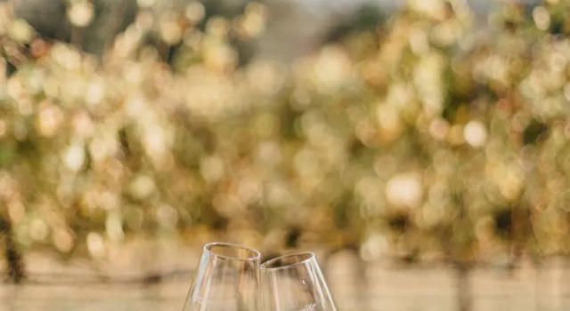 Zevenwacht Wine Estate, Забронировать Отель Кейптаун Центр Кейптаун