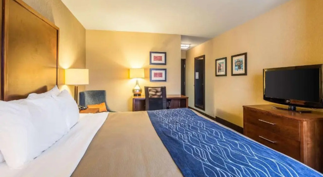 Люкс Comfort Inn Tupelo Central