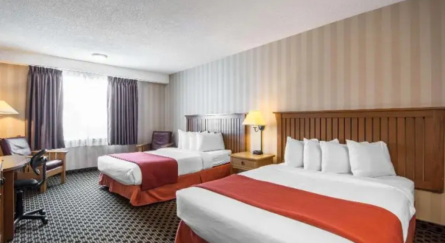 Одноместный номер Standard Quality Hotel
