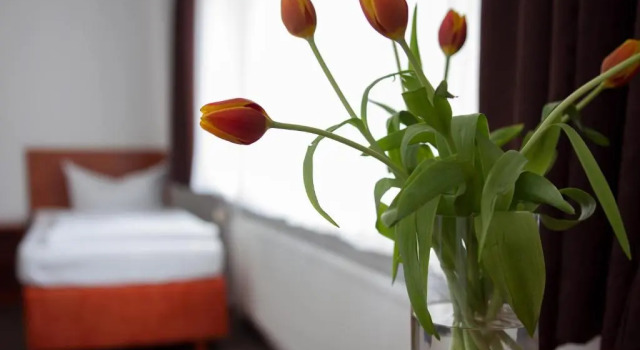 Standard huone Hotel Eckstein