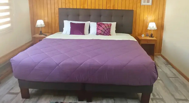 Номер Standard Hostel Rogiel