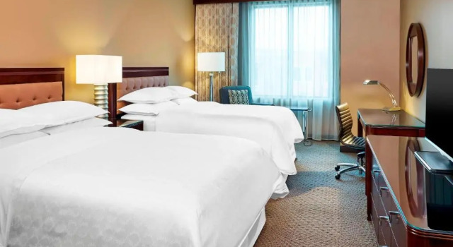 Четырёхместный номер Standard Sheraton Hotel Stonebriar