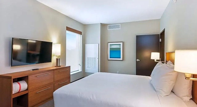 Двухместный люкс c 1 комнатой Hyatt Place Tampa/Wesley Chapel