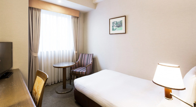 Одноместный номер Standard HOTEL MYSTAYS Sapporo Aspen