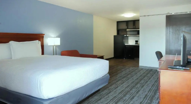 Двухместный люкс с мини-кухней Hotel South Tampa & Suites