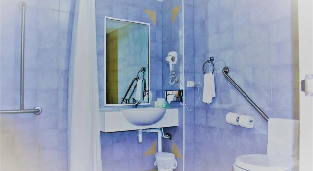 Двухместный номер Standard The Swan Valley Hotel
