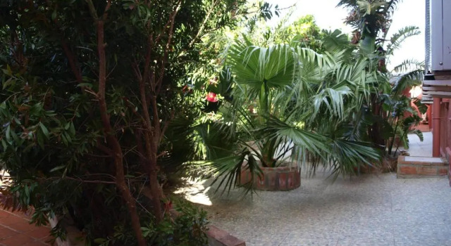 Standard huone Hotel Copacabana Tarifa Beach