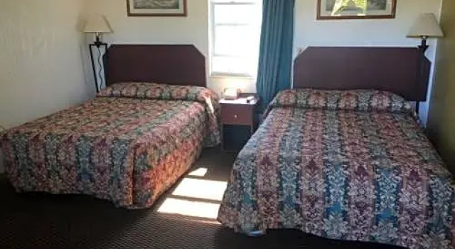 Run of House Tamiami Motel