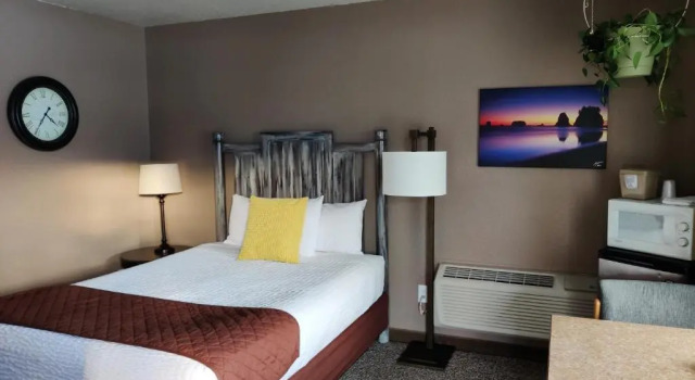 Двухместный номер Standard Mountain View Lodge