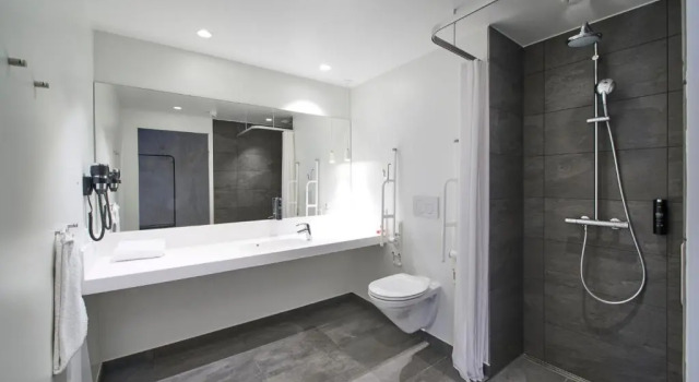 Двухместный номер Standard Four Points Flex by Sheraton Vejle