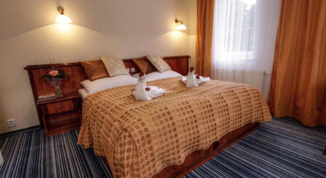 Номер Standard Spa & Wellness Hotel Harmonie